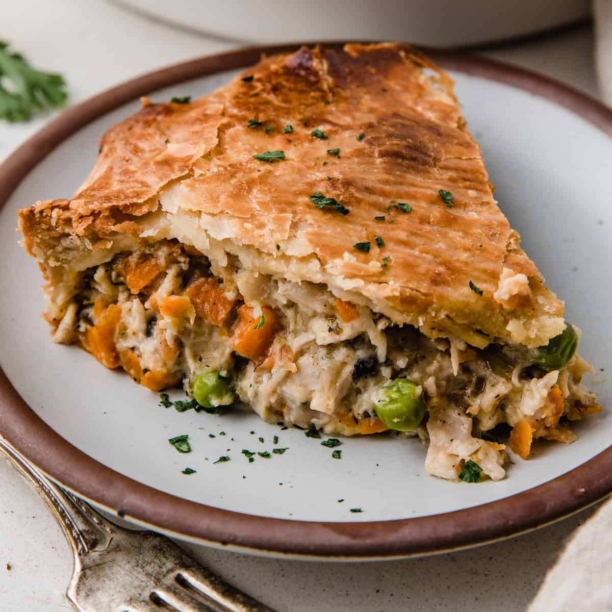 Angry Acres Farms Freeze Dried Chicken Pot Pie